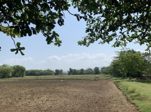 Spacious Agricultural Land Near the Beach, Agoo, La Union