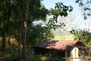 SOLD! 2 Houses, 300+ Trees, With Overlooking View, Ambaracao, Naguilian, La Union