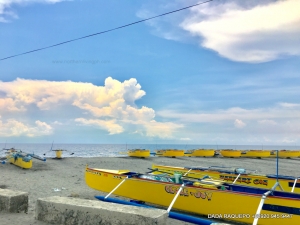 Secluded Beach Property with Breath-Taking Mountain View, Ideal for Resort, Aringay, La Union