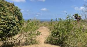 Lot with Great View , Bacnotan, La Union