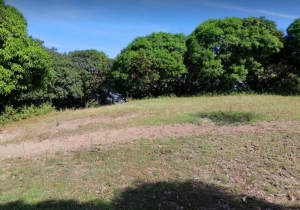 Overlooking Mango Farm, Balaoan, La Union