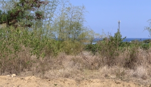 Lot with Ocean View, near the National Highway, Bacnotan, La Union