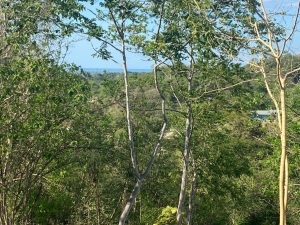 Overlooking the Sea and Mountains, Bacnotan, La Union