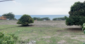 Scenic stretch of land w/fruit trees, along the National Highway, Rabon, Rosario, La Union