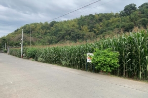 Lot with commercial potential, only 200 Meters to the New By-Pass Road, Casilagan, San Juan, La Union