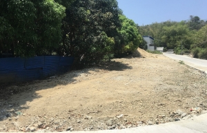 Vacant Lot with Mango Trees, San Fernando City, La Union