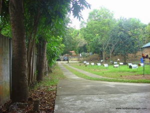 A Ranch-Type Property, 15 Minutes From the City Center, San Fernando City, La Union