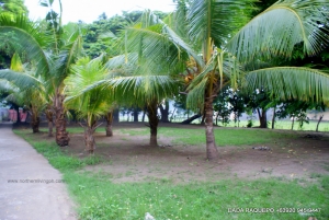 Huge Lot with Fruit-Bearing Trees, Near National Highway, Bauang, La Union