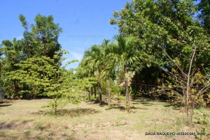 Spacious Lot along Wide Cemented Road, Near Town Proper, Bauang, La Union