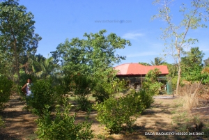 Fixer-Upper Bungalow Home in 1.5 Hectares Lot Near Town Proper, Bauang, La Union