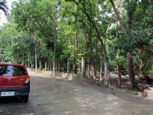 Residential Lot Along Wide Cemented Road, 5mins to Town Proper, San Fernando City, La Union Residential Lot Along Wide Cemented Road, 5mins to Town Proper, San Fernando City, La Union