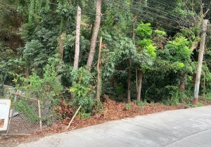 Residential Lot in the Corner, Dalumpinas, San Fernando City, La Union