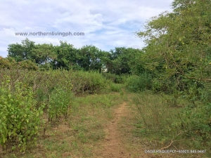 Residential Lot in a Non-Flooding Village, San Fernando City, La Union