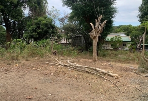 Lot Only 600 Meters to the Beach, Dalumpinas, San Fernando City, La Union