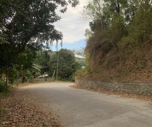 Elevated Lot Along the Road, Around 100 meters to the New By-Pass Road, San Juan, La Union