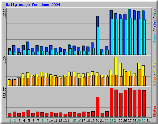Daily usage for June 2024