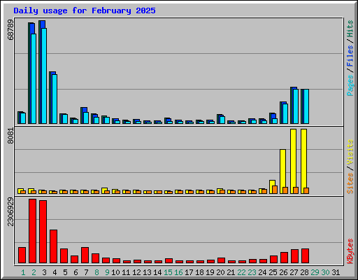 Daily usage for February 2025