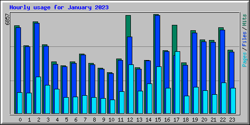 Hourly usage for January 2023