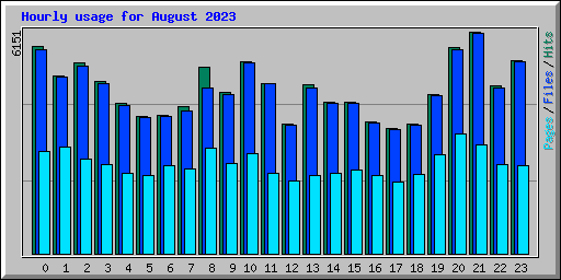Hourly usage for August 2023