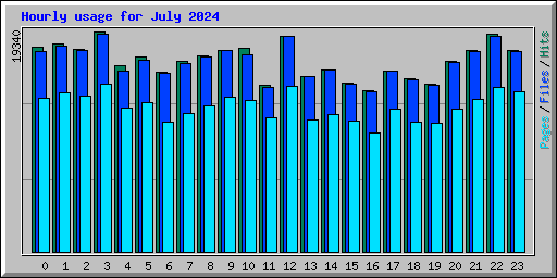 Hourly usage for July 2024