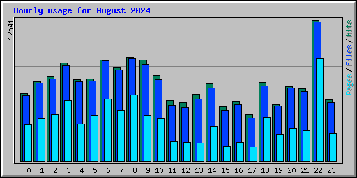 Hourly usage for August 2024