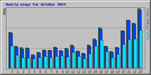 Hourly usage for October 2024