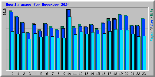 Hourly usage for November 2024