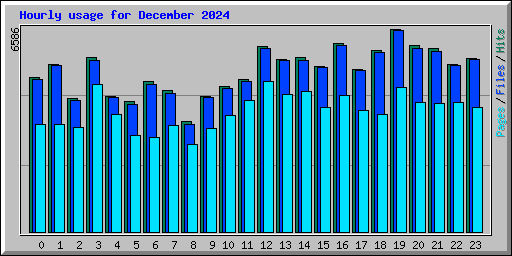 Hourly usage for December 2024