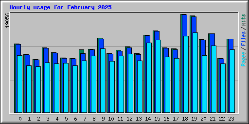 Hourly usage for February 2025