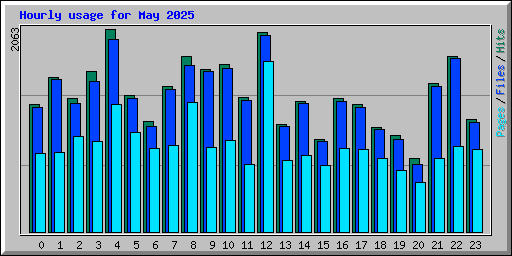 Hourly usage for May 2025